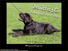 Tablet Screenshot of bellatrix-lab.com